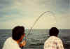 Fishing_2.jpg (70660 bytes)