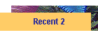 Recent 2
