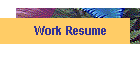 Work Resume